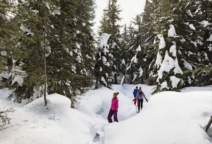 Woodhaven #19 By Bear Country