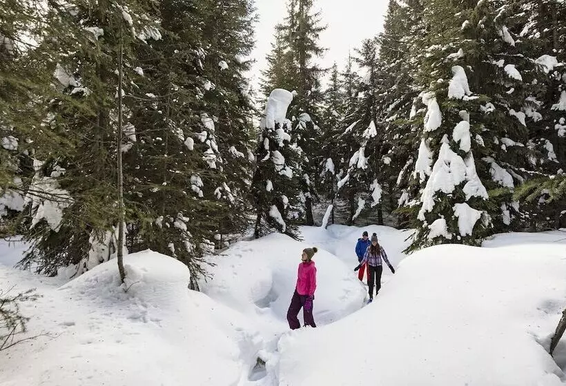 Woodhaven #19 By Bear Country