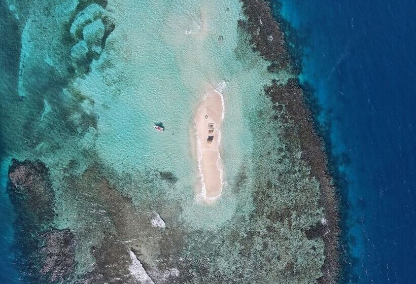 Beach Front Flor De Mar Los Corales Playa Bavaro