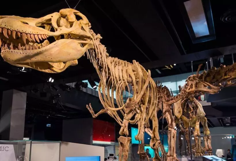 בית מלון כפרי Clocktower Apartment