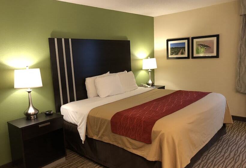 Отель Inn At Clinton