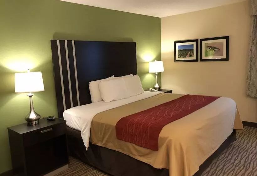 Отель Inn At Clinton