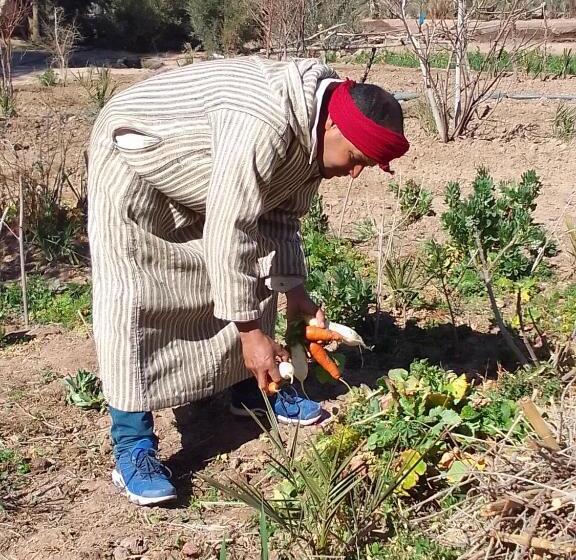 Отель Kasbah Dar Dmana