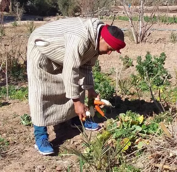 Отель Kasbah Dar Dmana