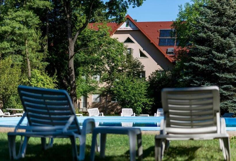 Wellness Hotel Szindbád