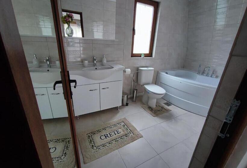 펜션 Casa De Vacanta Estera Rucar