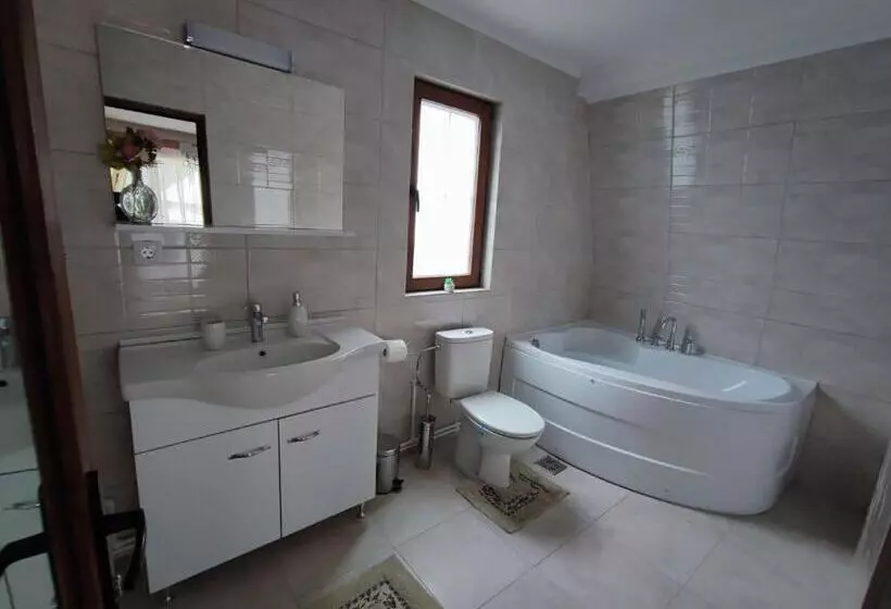 Majatalo Casa De Vacanta Estera Rucar