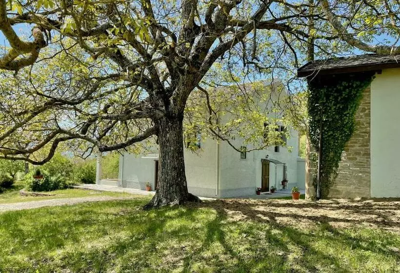 ホテル Agriturismo Il Noce D Oro