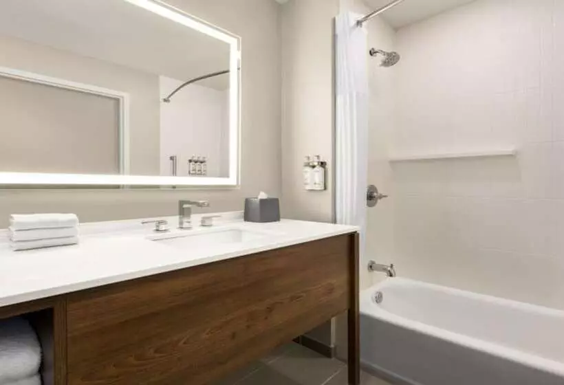 هتل Staybridge Suites   Lexington S Medical Ctr Area, An Ihg
