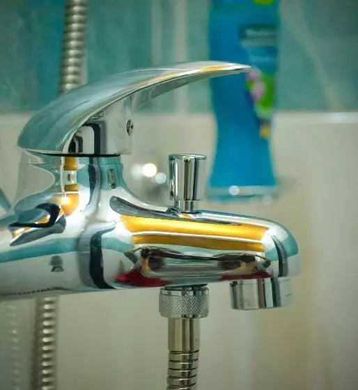 پانسیون Royal Tsv Rooms