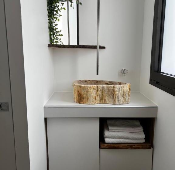 Castor Coquin Aubagne Cassis Aix En Provence