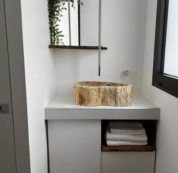 Castor Coquin Aubagne Cassis Aix En Provence