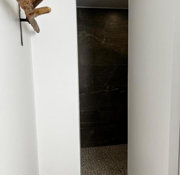 Castor Coquin Aubagne Cassis Aix En Provence