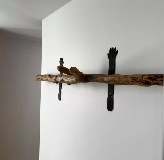 Castor Coquin Aubagne Cassis Aix En Provence