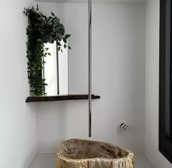 Castor Coquin Aubagne Cassis Aix En Provence