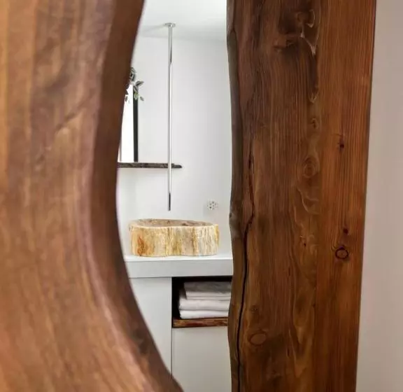 Castor Coquin Aubagne Cassis Aix En Provence