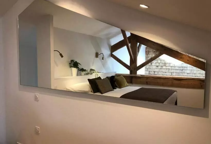 Castor Coquin Aubagne Cassis Aix En Provence