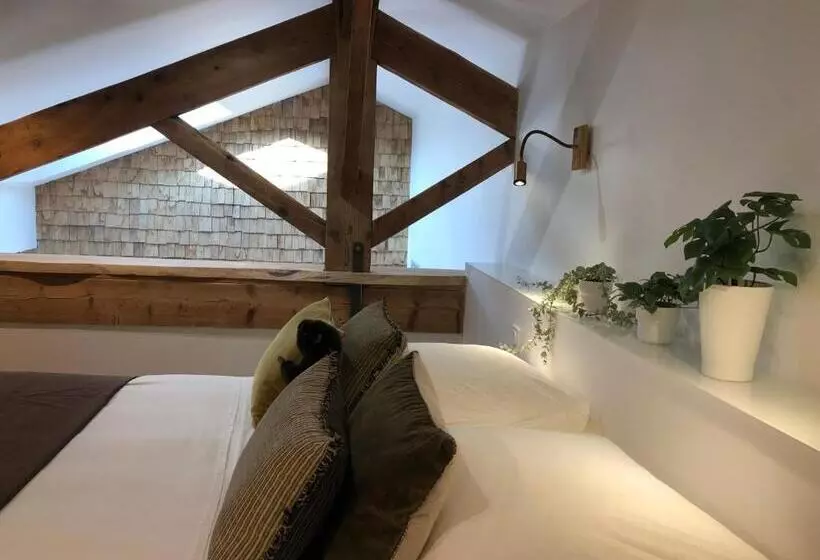 Castor Coquin Aubagne Cassis Aix En Provence