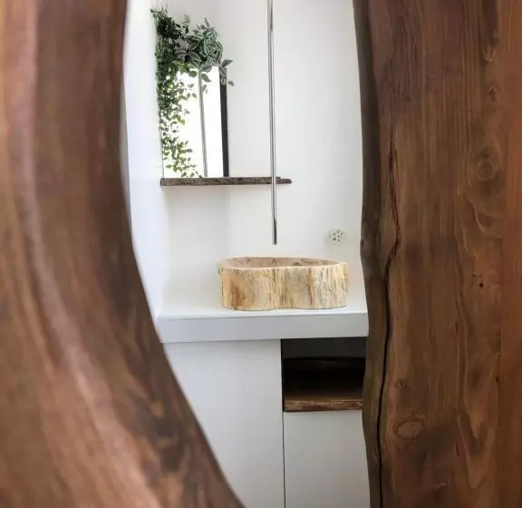 Castor Coquin Aubagne Cassis Aix En Provence