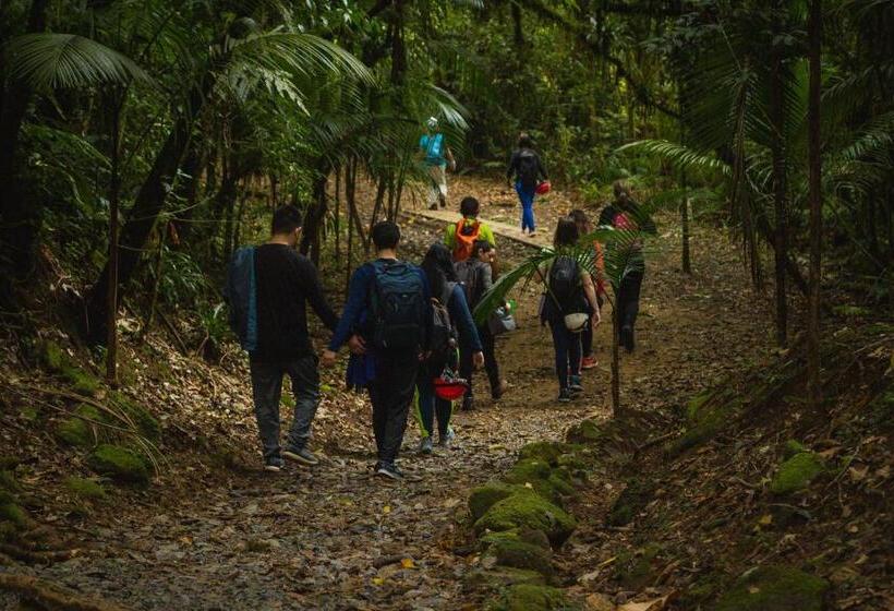 Отель Rancho Hanna   Pousada, Camping E Comidaria