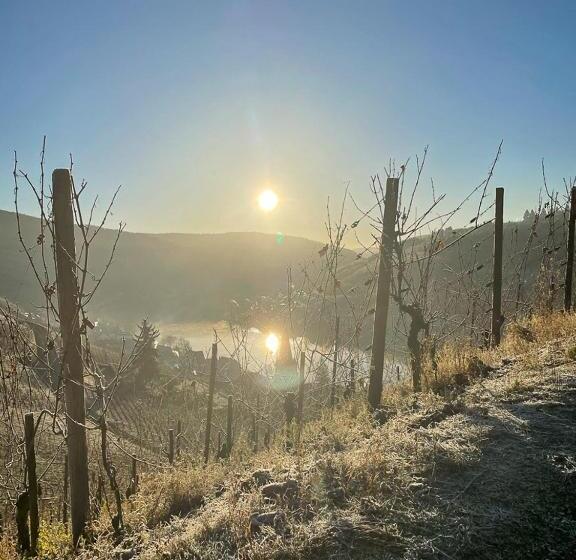 צימר Boutique Guesthouse Das Wohlgemuth Heim Mosel Weingut