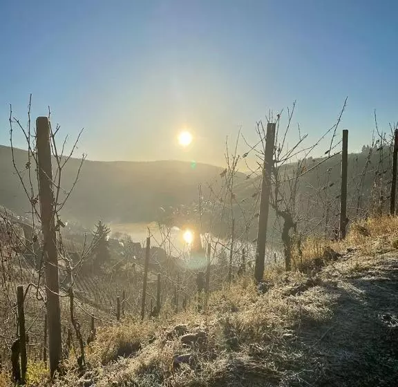 Aamiaismajoitus (B&B) Boutique Guesthouse Das Wohlgemuth Heim Mosel Weingut