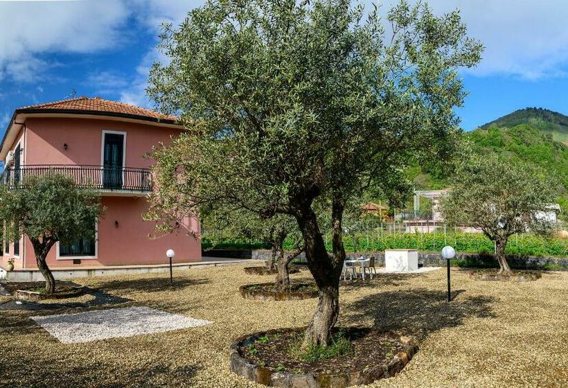 Bee Happy   Bed And Breakfast