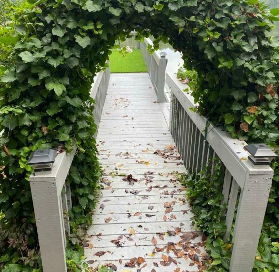 膳宿费 Norris Lake