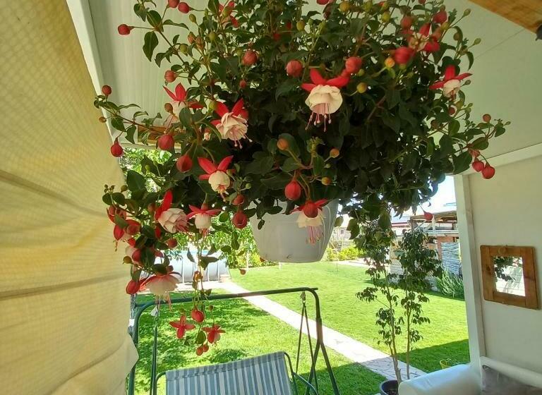 بنسيون Filuvespri