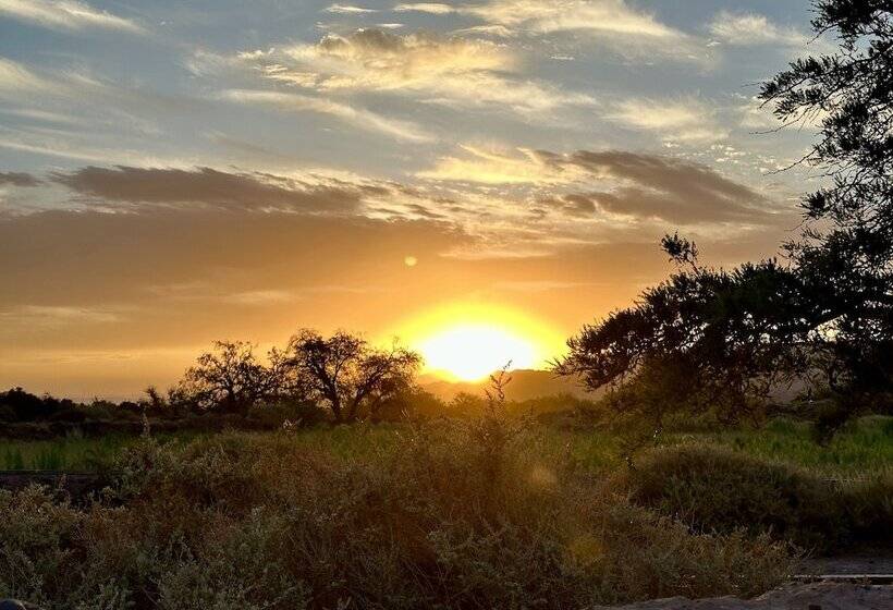 פנסיון Hostal Qachi Chentura