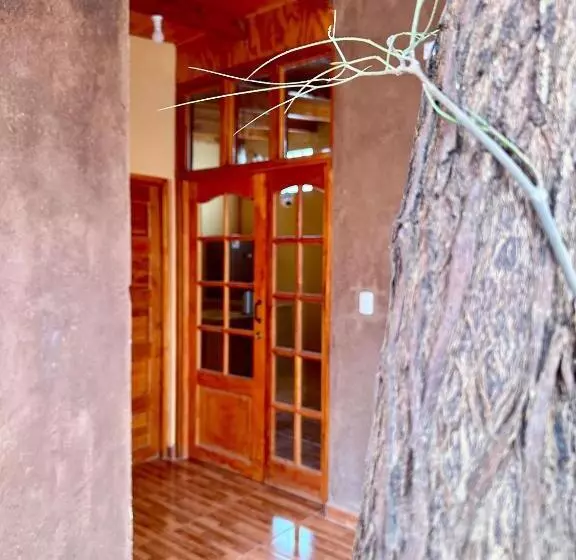 ペンション Hostal Qachi Chentura