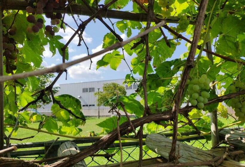 펜션 B&b Yoshida Vacation Stay 12719