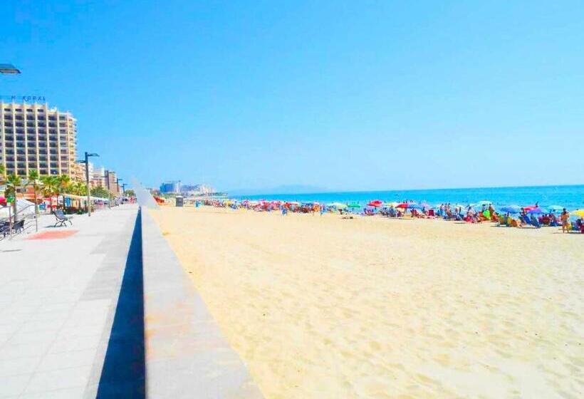 Ayf 1ª Linea De Playa Morro De Gos Daytona