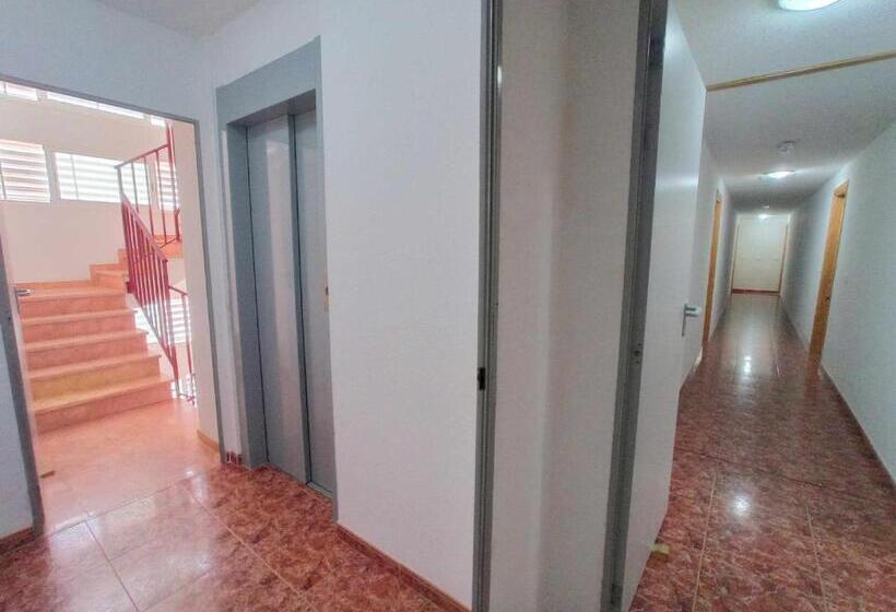 Ayf 1ª Linea De Playa Morro De Gos Daytona