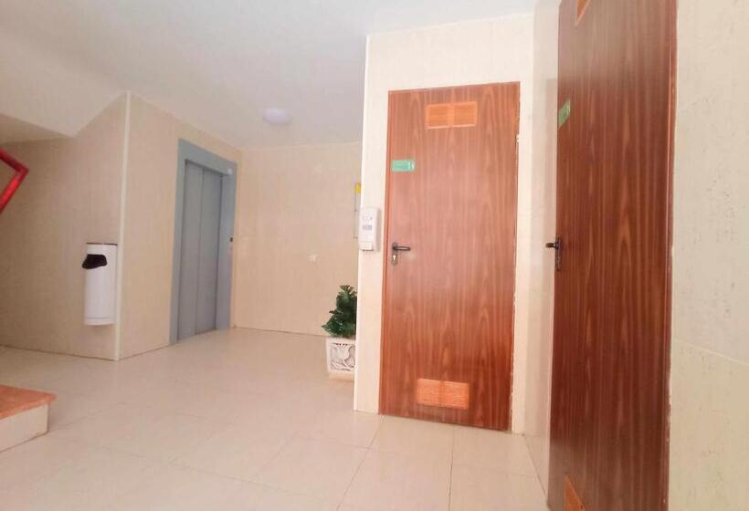 Ayf 1ª Linea De Playa Morro De Gos Daytona