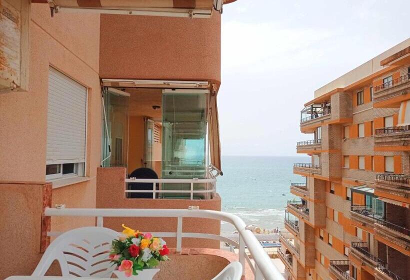 Ayf 1ª Linea De Playa Morro De Gos Daytona