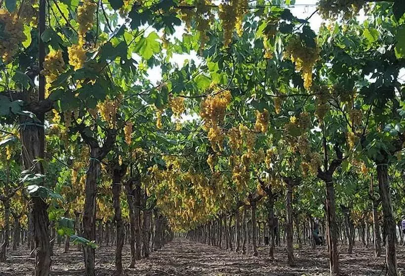 Aamiaismajoitus (B&B) Corte Gabellone   Dimora Storica