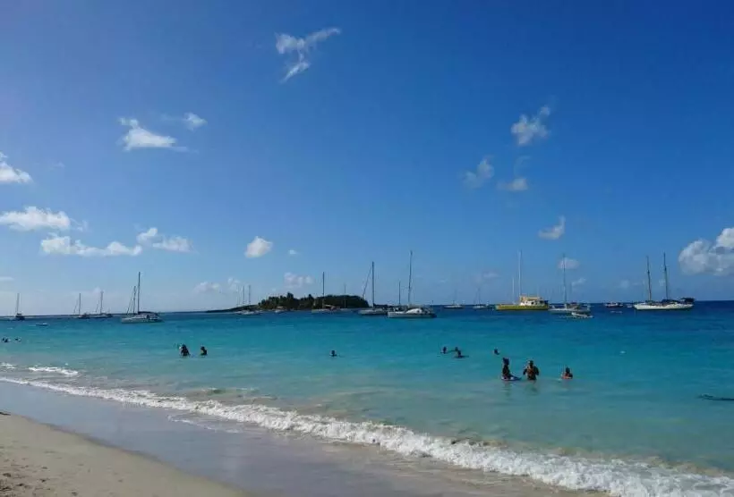 Maison Créole Authentique