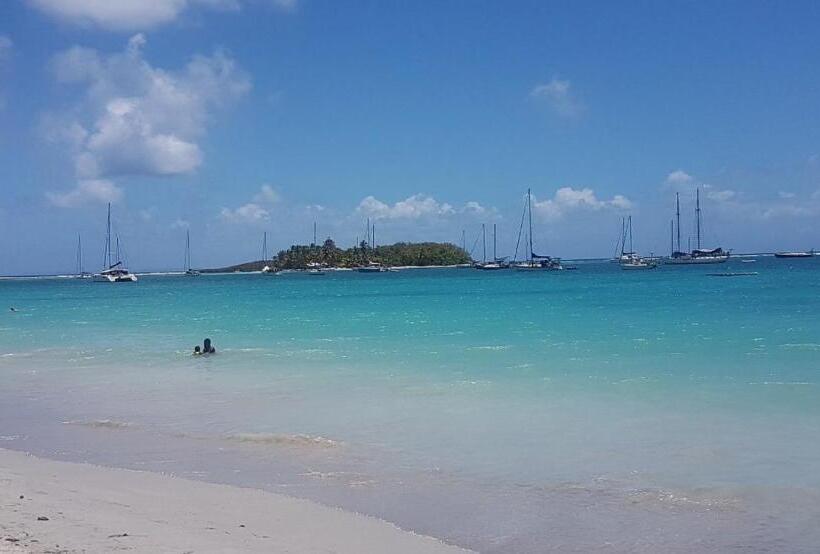 Maison Créole Authentique