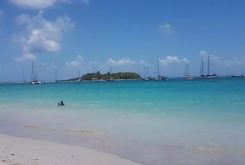 Maison Créole Authentique