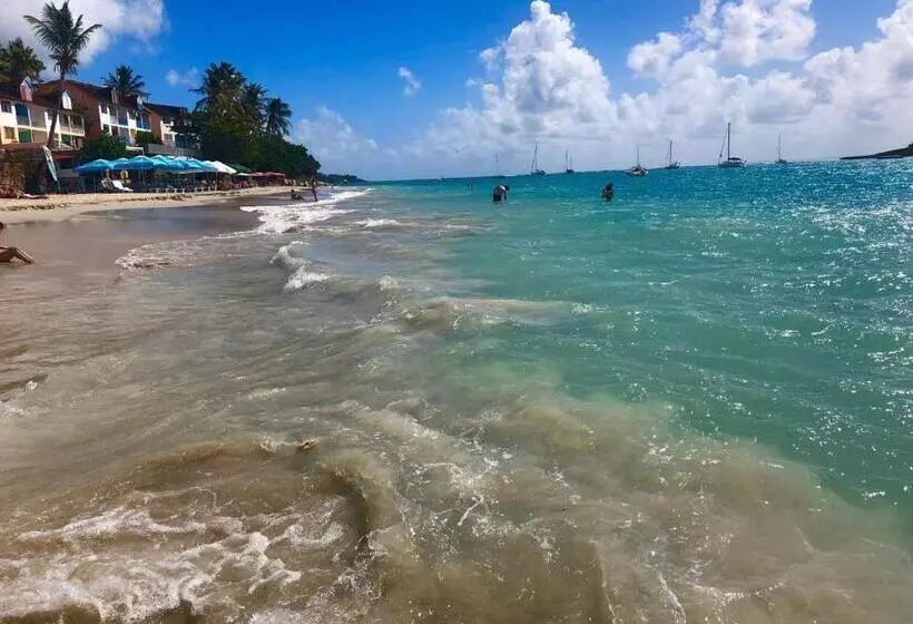 Maison Créole Authentique