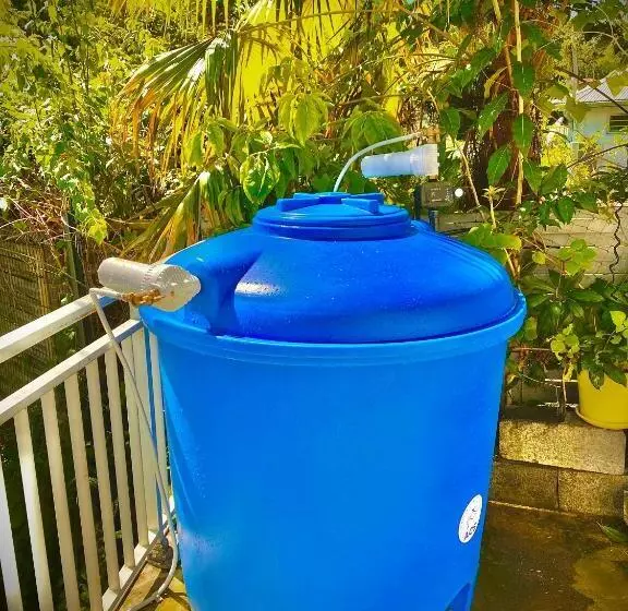 Maison Créole Authentique