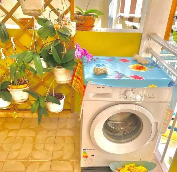 Maison Créole Authentique