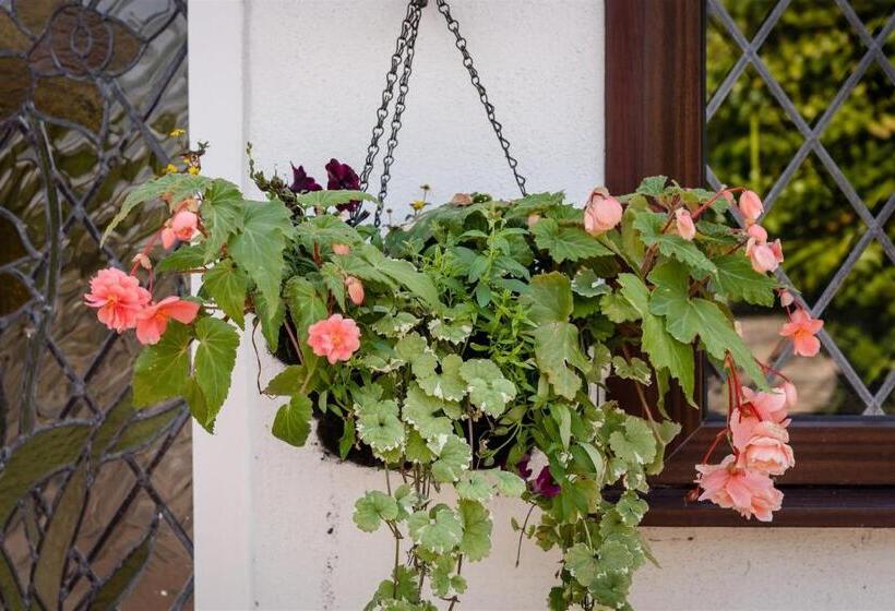 The Spinney   Spectacular Views Over The Bay And Close To Beach With Parking