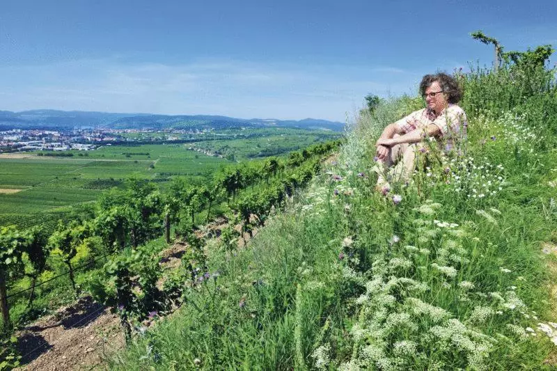Gasthof Hotel Zur Goldenen Krone