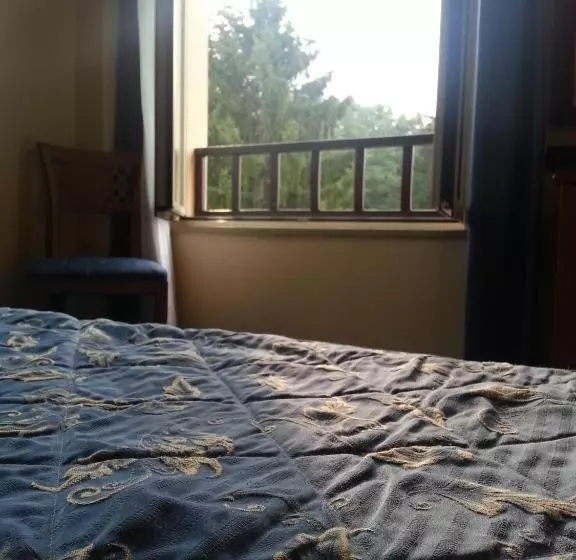 ホテル Albergo Costantini