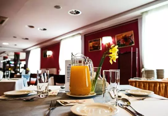 Отель Comfortbiznes Pruszkow