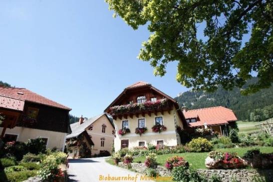 Der Michlbauernhof