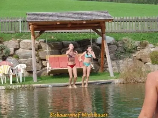 Der Michlbauernhof