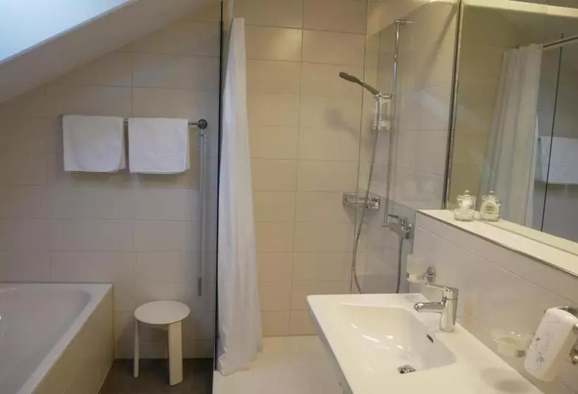 ホテル Schwanen Wil